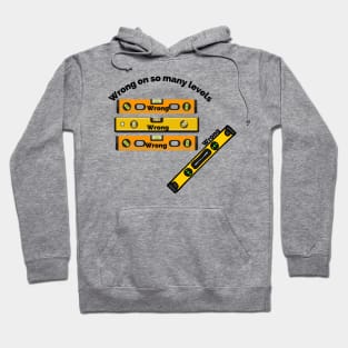 Wrong on so many levels Hoodie